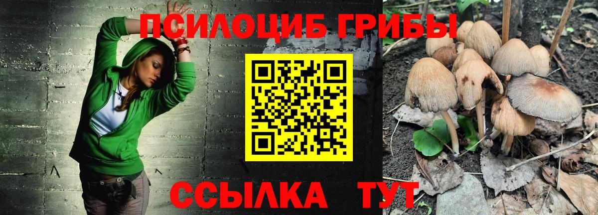 Галлюциногенные грибы Psilocybe Корсаков