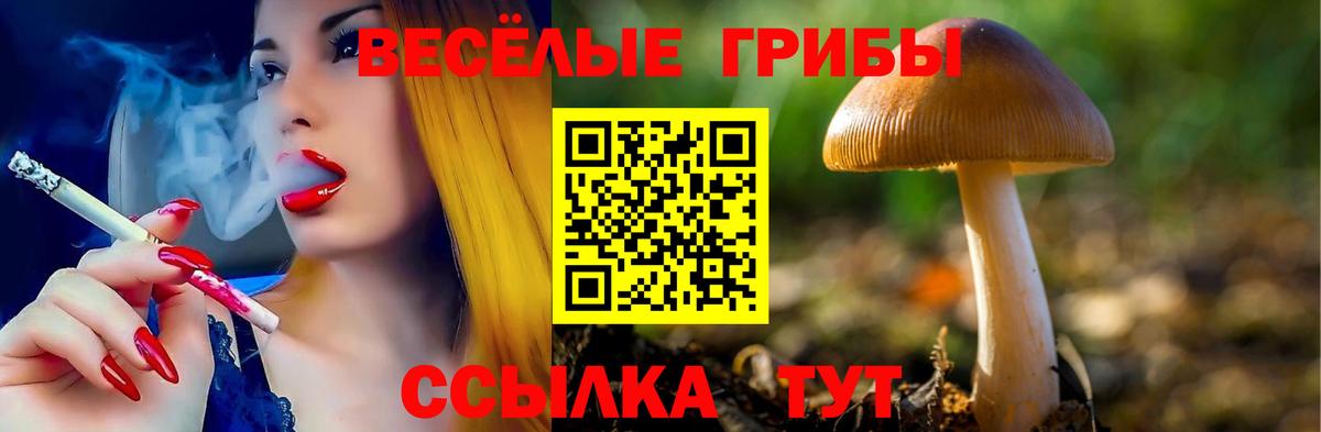 Псилоцибиновые грибы мухоморы  купить наркотики цена  Галлюциногенные грибы мицелий  Корсаков  Вход с VPN 